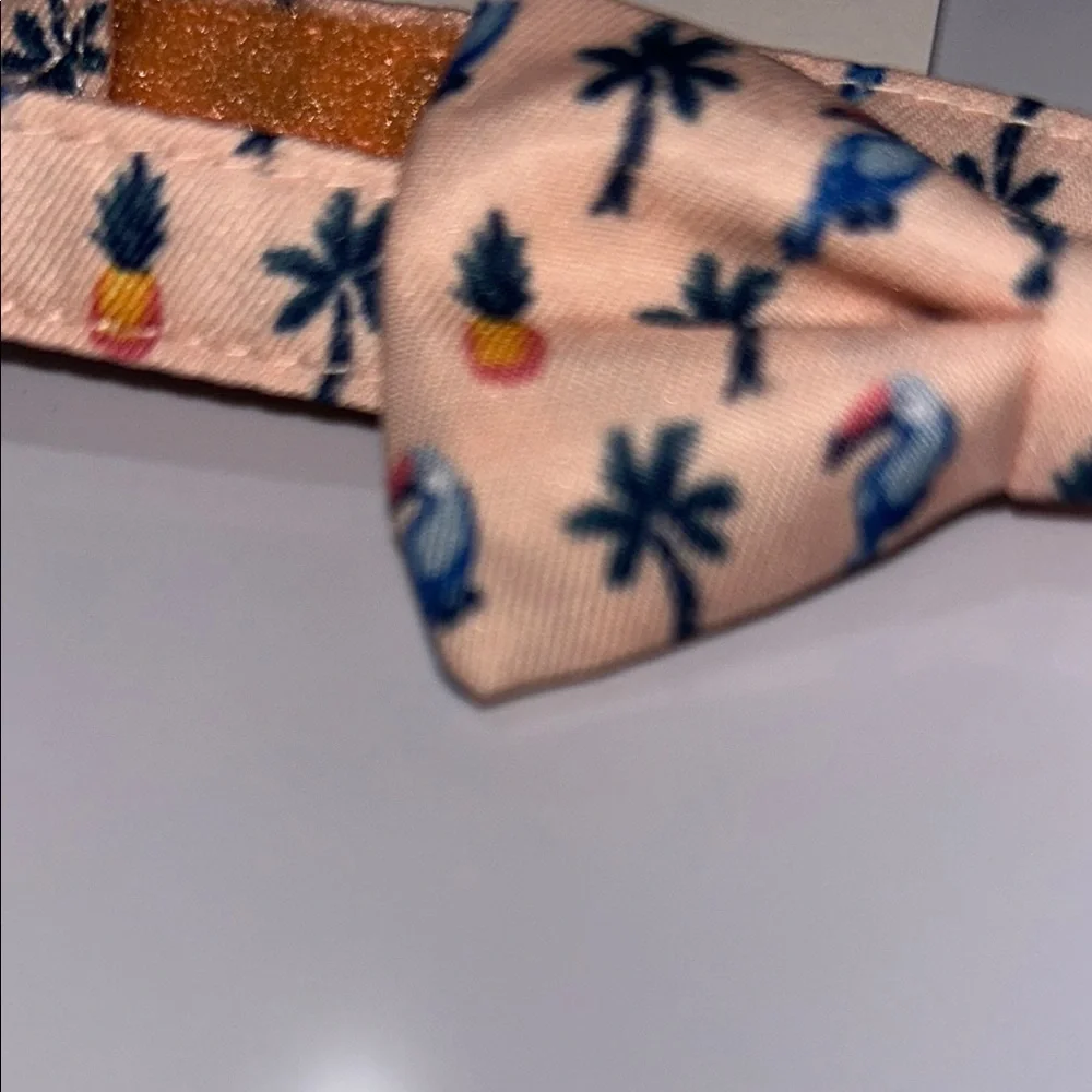Janie and Jack Pink and Blue Bow Tie